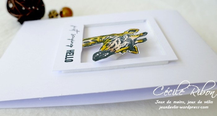 CASology 391 – Photo