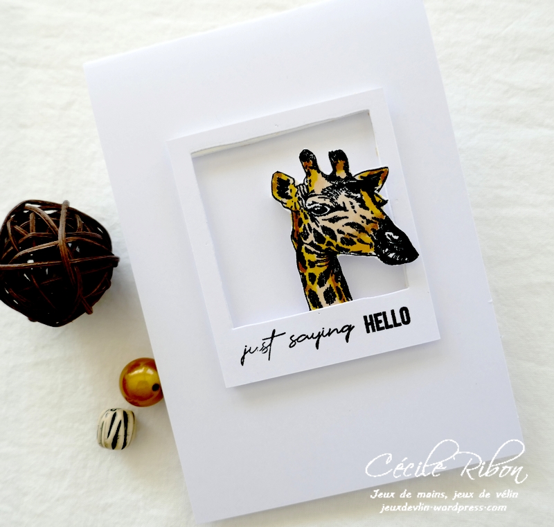 Carte CASology391 - P1240119