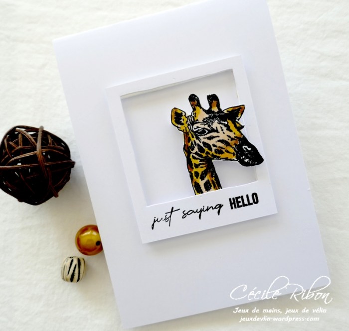 Carte CASology391 - P1240119