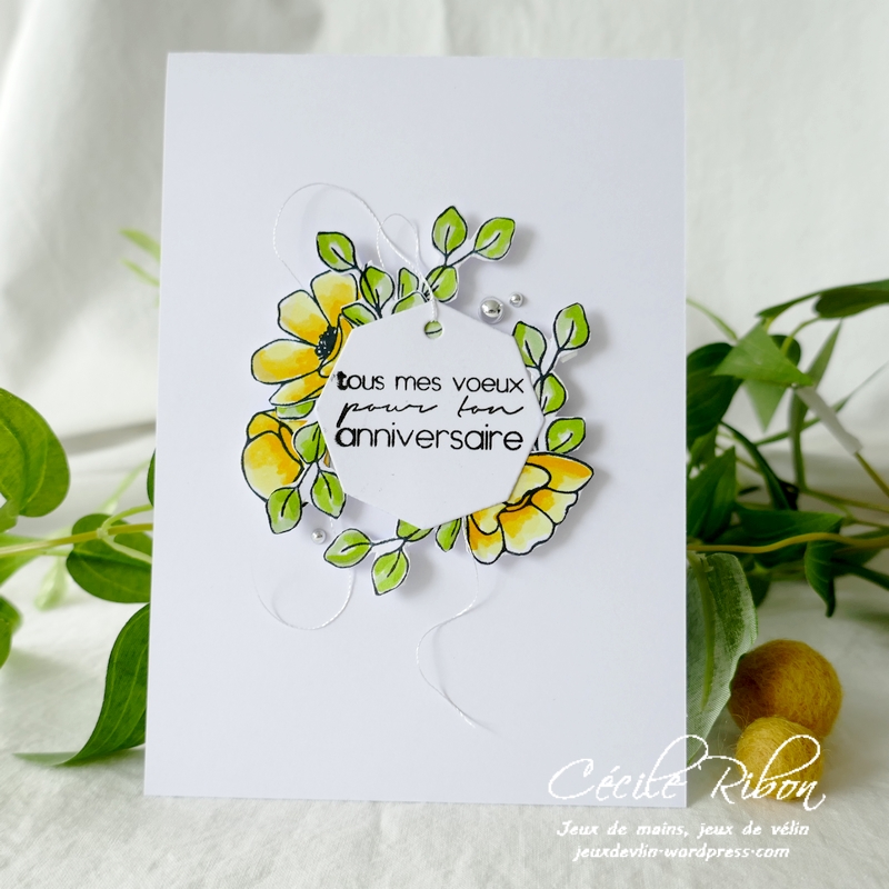 Carte CBBB56 - P1240432