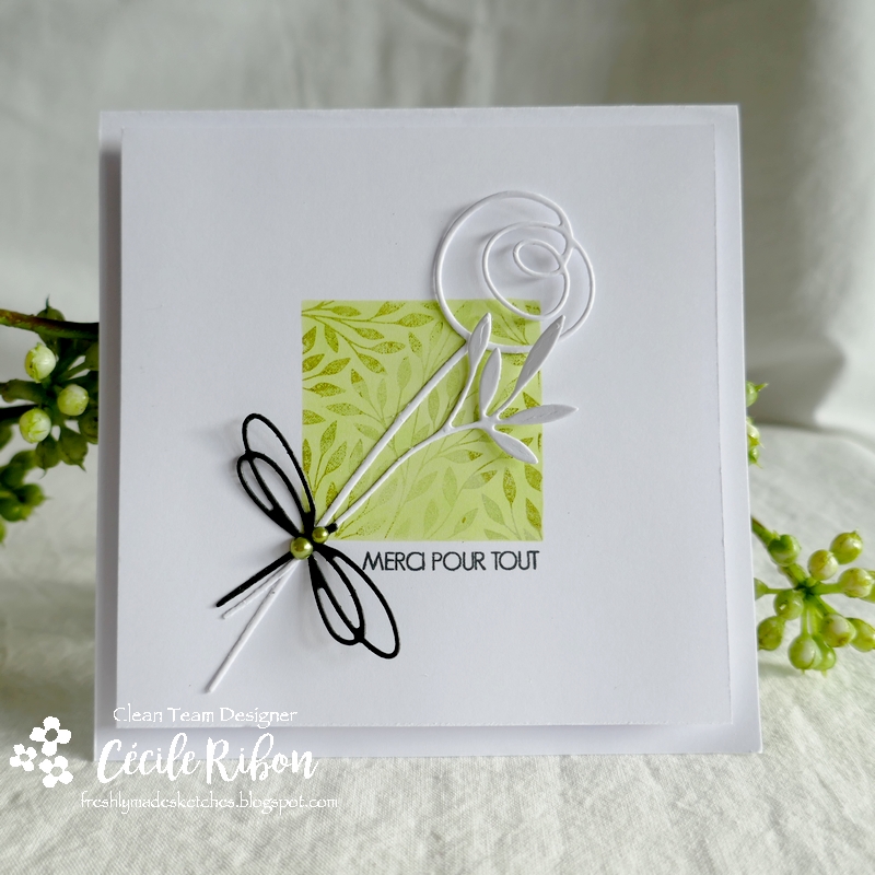 Carte FMS492 - P1240721