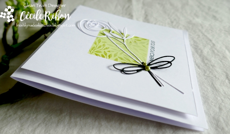 Carte FMS492 - P1240728