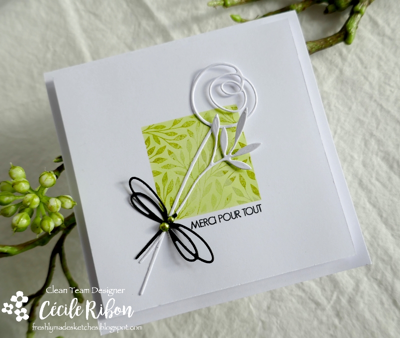 Carte FMS492 - P1240746