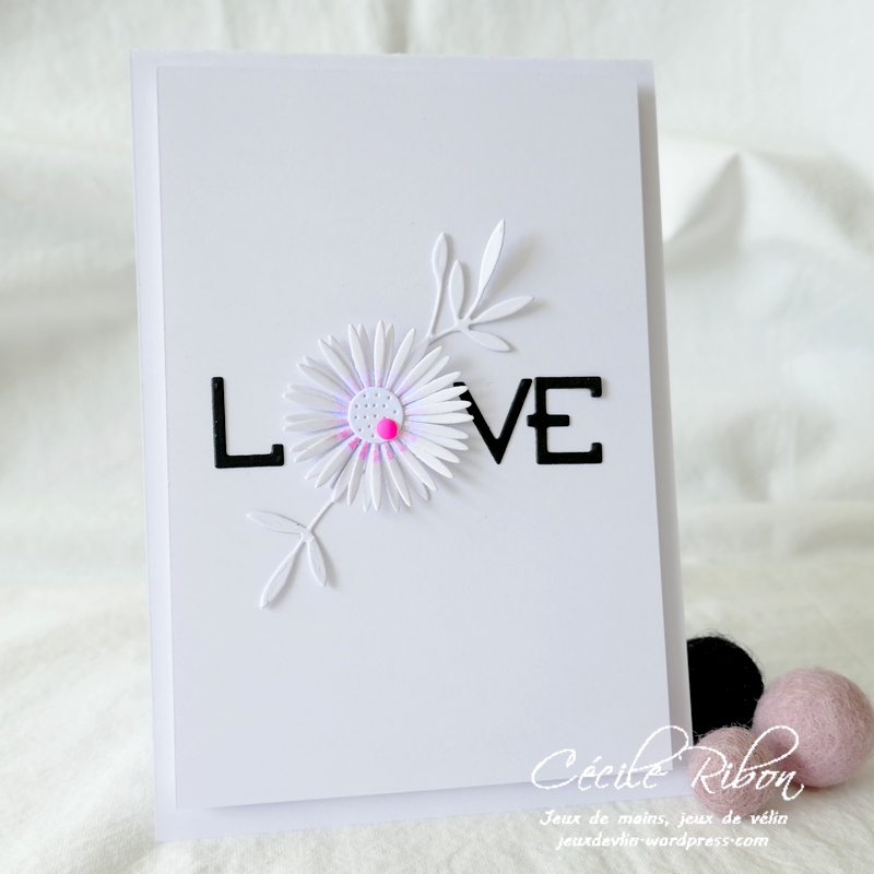 Carte JUGS588 - P1240293