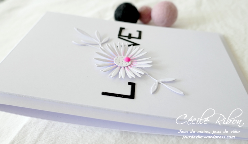 Carte JUGS588 - P1240295