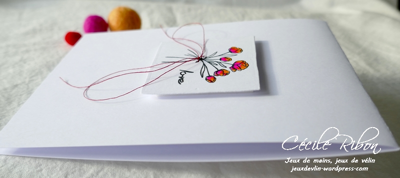 Carte JUGS589 - P1240409