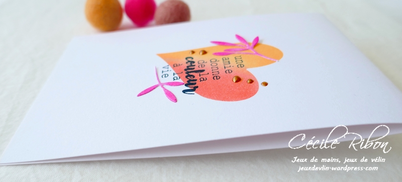 Carte LSMaiInspi - P1230912