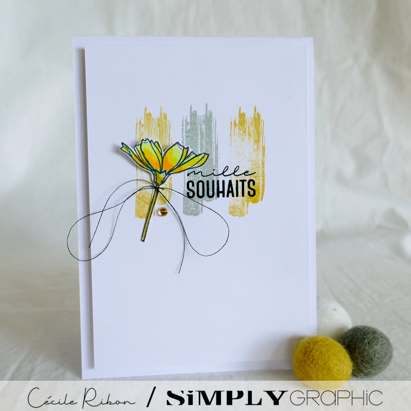 Carte SG02 - P1240044