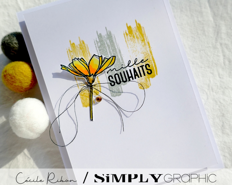 Carte SG02 - P1240055