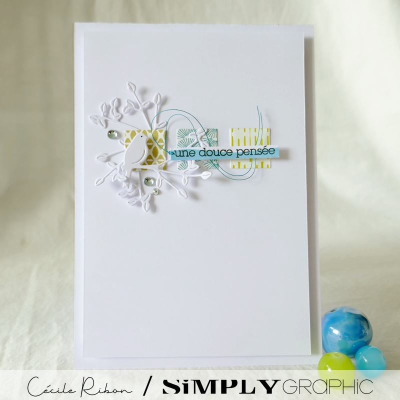 Carte SG02 - P1240136