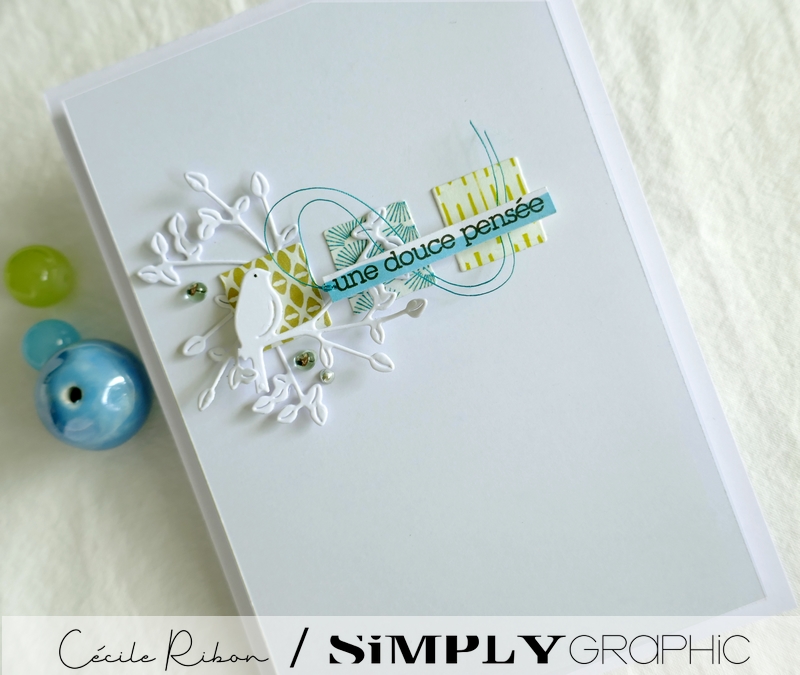 Carte SG02 - P1240147