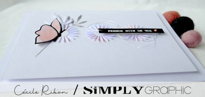 Carte SG02 - P1240690