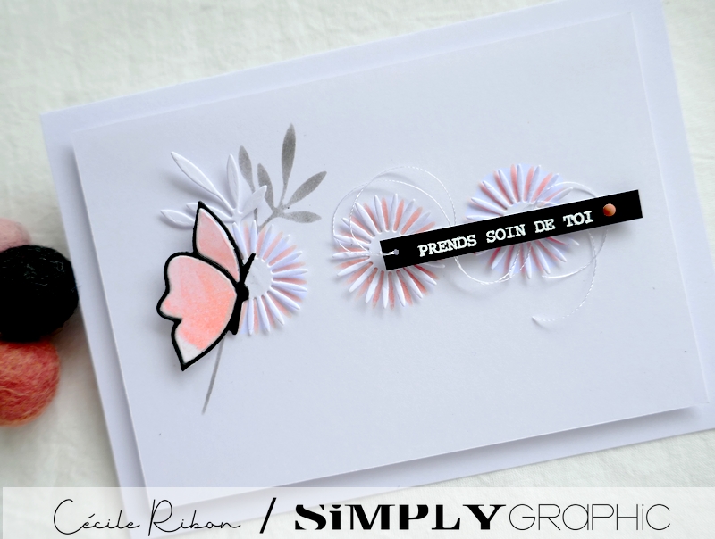 Carte SG02 - P1240701