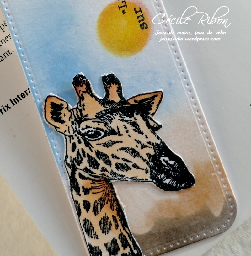 Carte CBBBJeuEtéS3 - P1250053