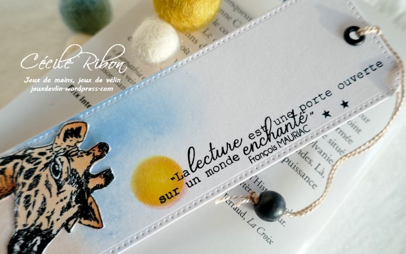 Carte CBBBJeuEtéS3 - P1250062