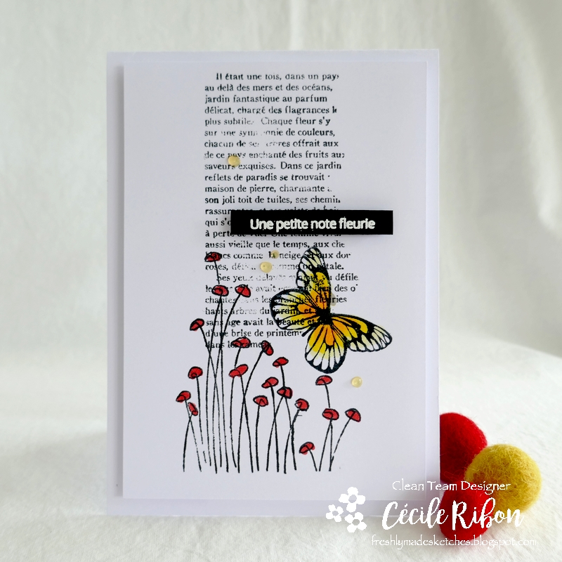 Carte FMS493 - P1240832