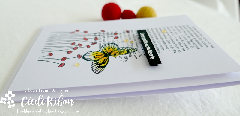 Carte FMS493 - P1240842