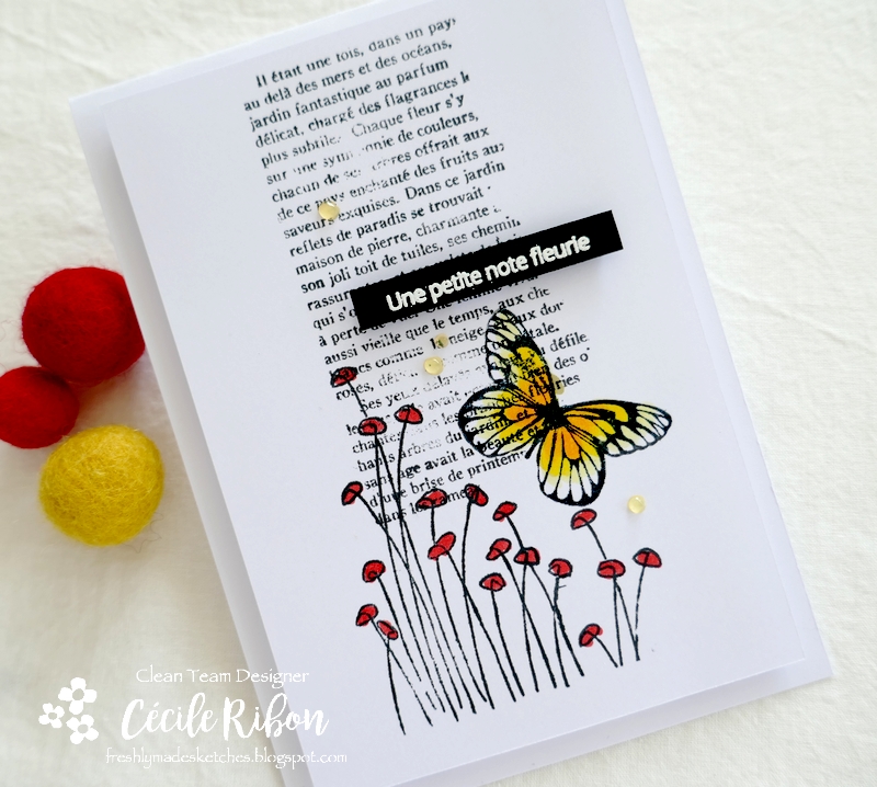 Carte FMS493 - P1240852