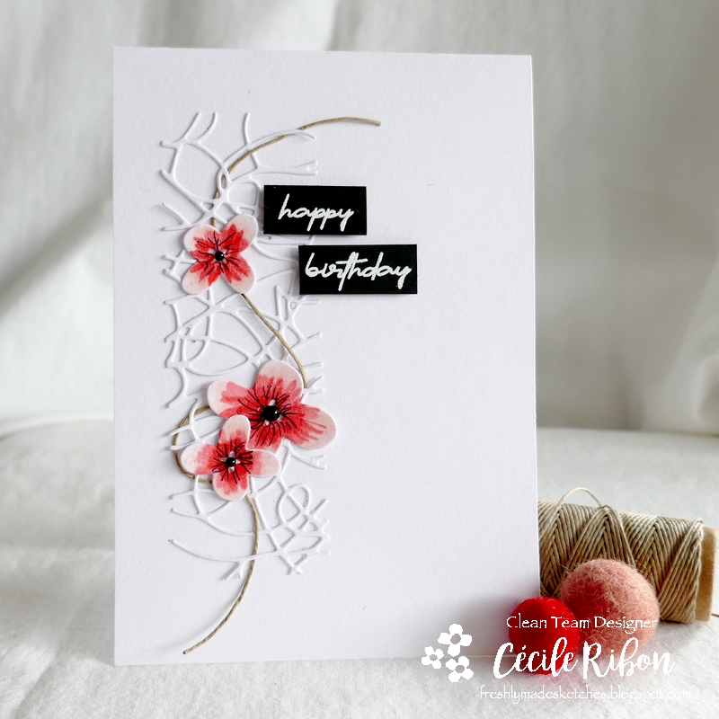 Carte FMS494 - P1250001