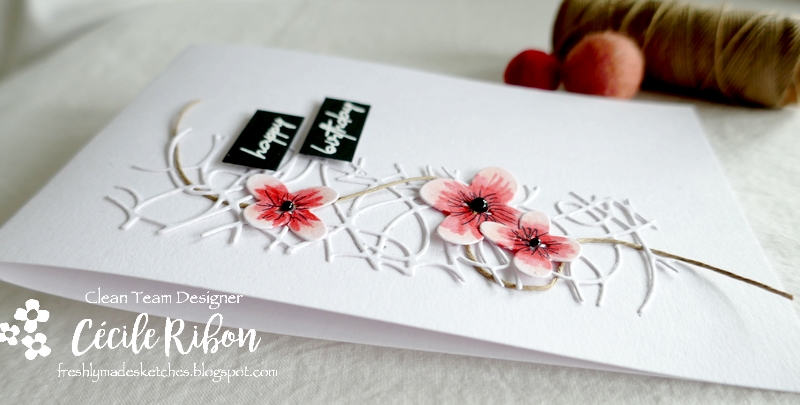 Carte FMS494 - P1250002