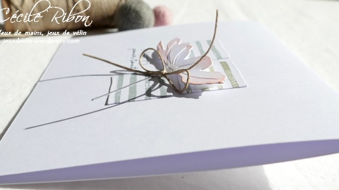 JUST US Girls #594- Photo Week.