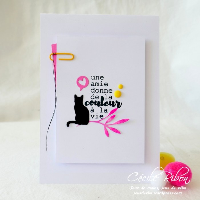 Carte LSMaiBPioche - P1230949