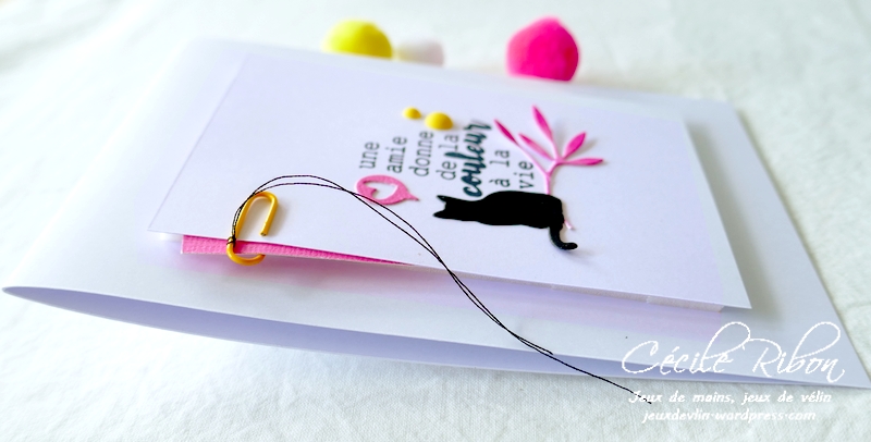 Carte LSMaiBPioche - P1230960