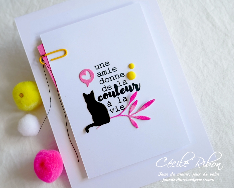 Carte LSMaiBPioche - P1230971