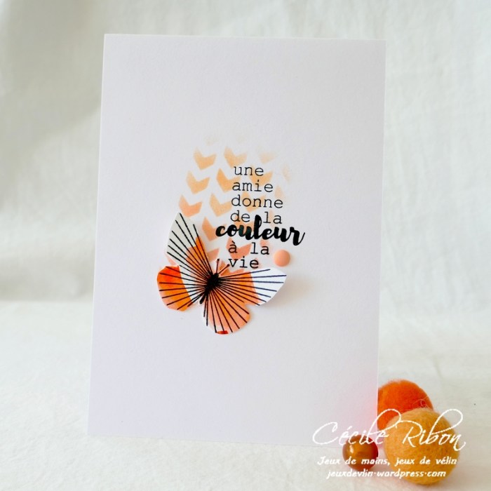 Carte LSMaiMboard - P1230931