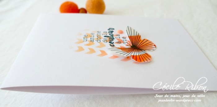 Carte LSMaiMBoard - P1230936