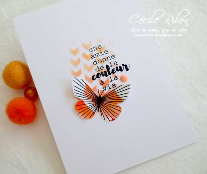 Carte LSMaiMBoard - P1230947