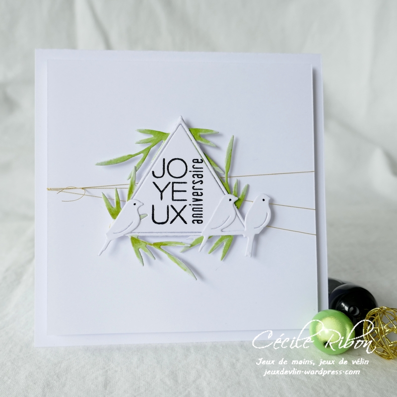 Carte AnnivF03 - P1240480