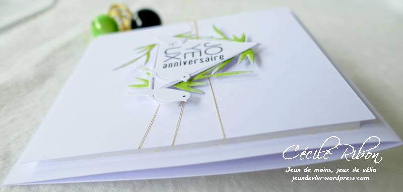 Carte AnnivF03 - P1240483