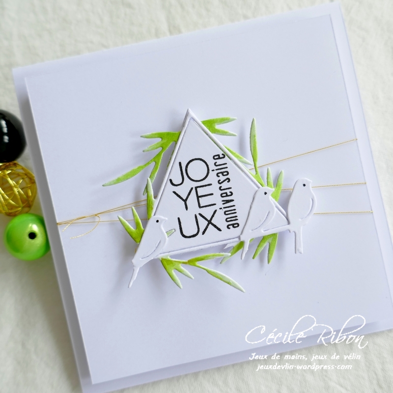 Carte AnnivF03 - P1240492