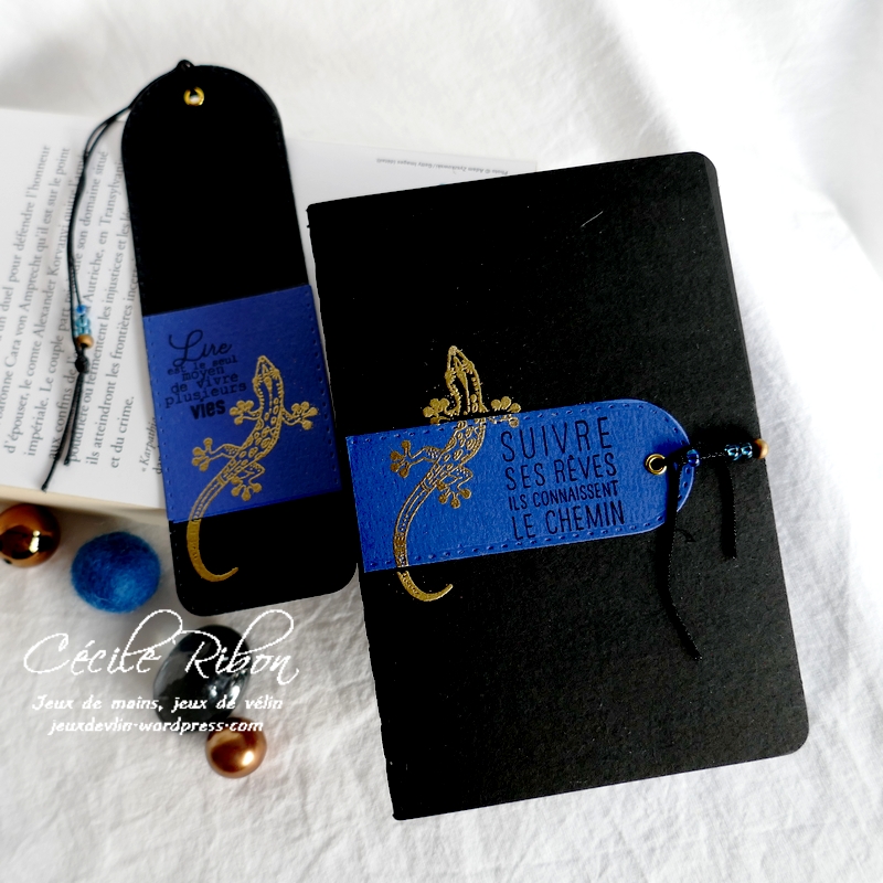 Carte CBBBJeuEtéS5 - P1250327