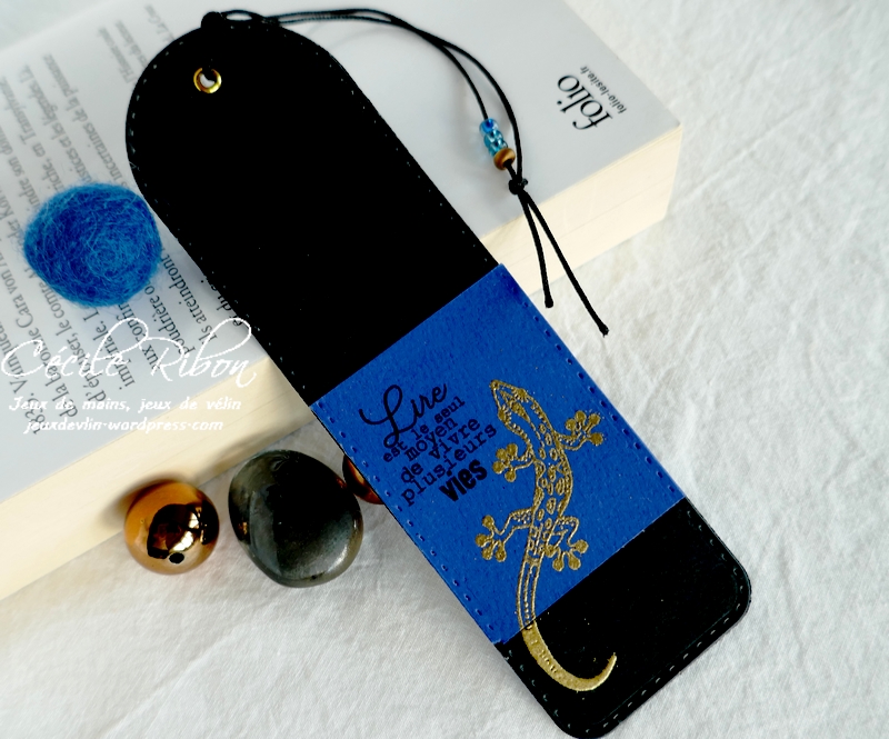 Carte CBBBJeuEtéS5 - P1250333