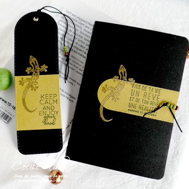 Carte CBBBJeuEtéS5 - P1250341