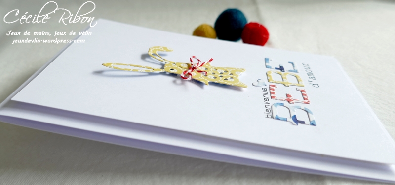 Carte CTD656 - P1250781