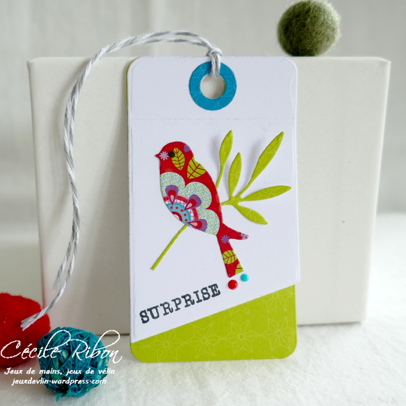 Carte CTD657 - P1250909