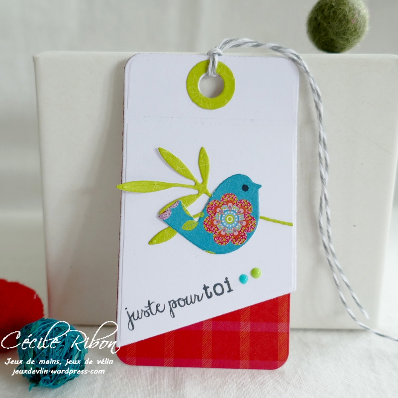 Carte CTD657 - P1250910