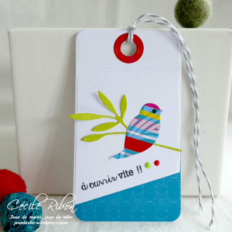 Carte CTD657 - P1250915