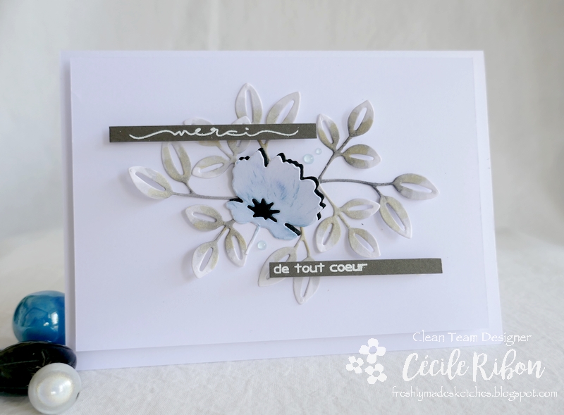 Carte FMS498 - P1250568