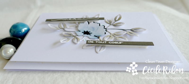 Carte FMS498 - P1250574