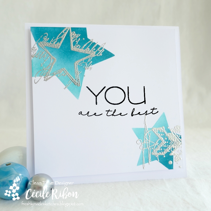 Carte FMS499 - P1250669