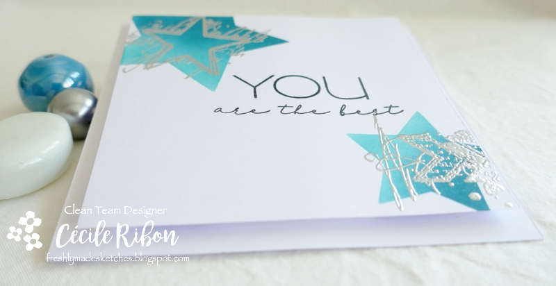 Carte FMS499 - P1250678