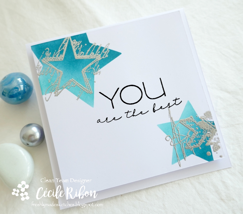 Carte FMS499 - P1250694