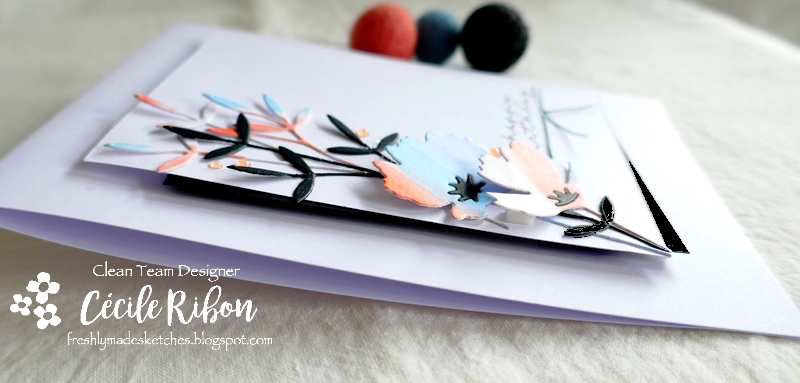 Carte FMS500 - P1250826