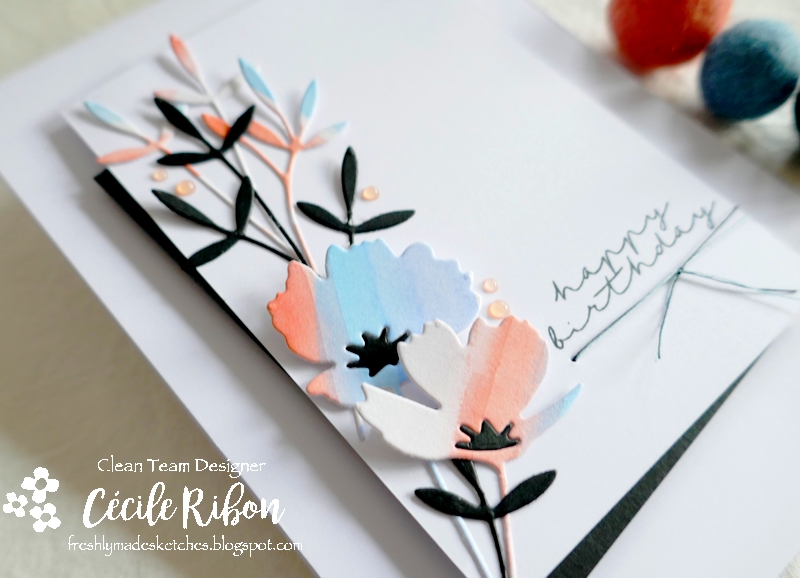 Carte FMS500 - P1250838