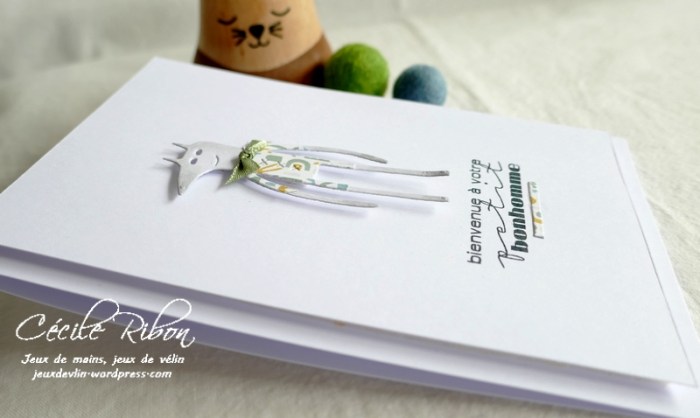 Carte Naissance02 - P1250965