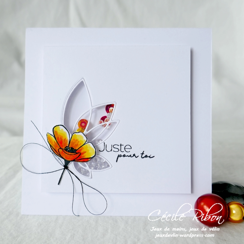Carte PourToi03 - P1240533
